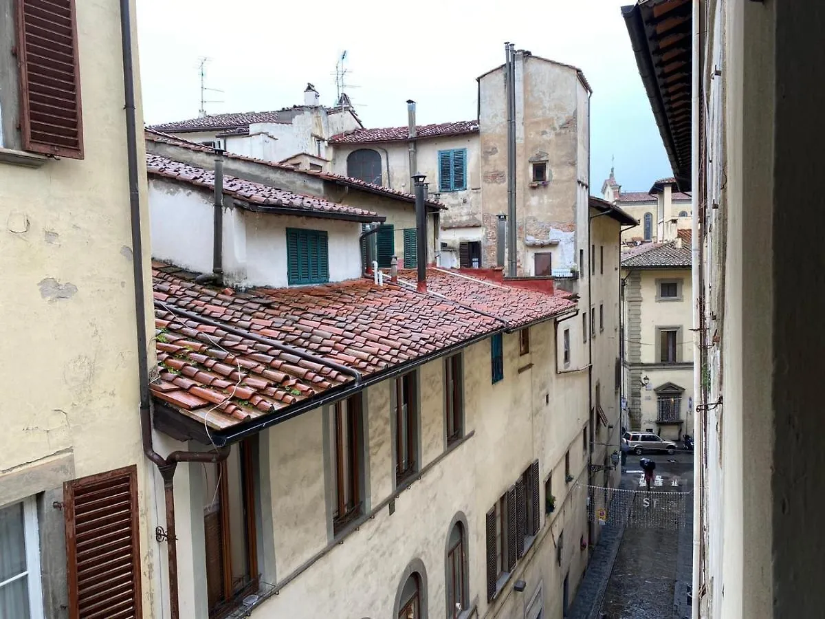 דירות פירנצה Sdrucciolo Dei Pitti Third Floor איטליה